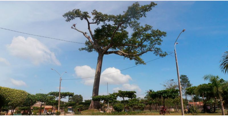 parque-la-lupuna