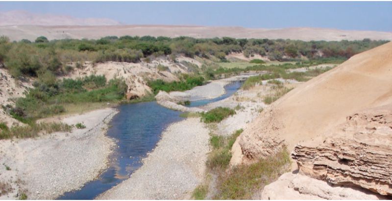 Río Sama (Perú)