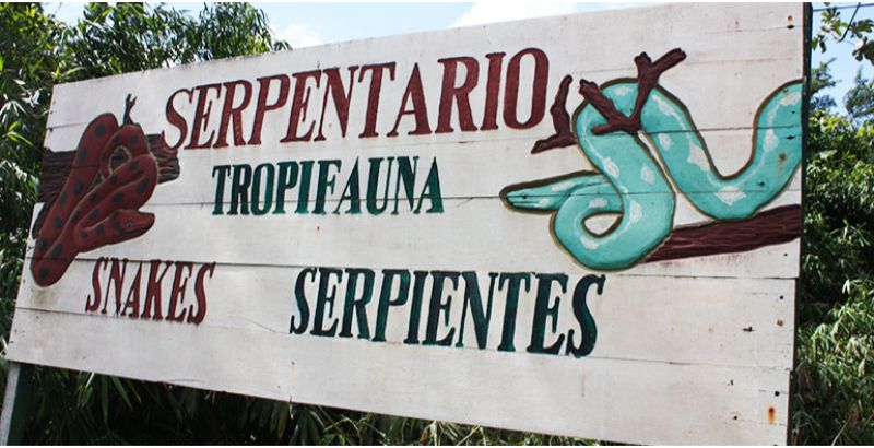 serpentario-tropifauna
